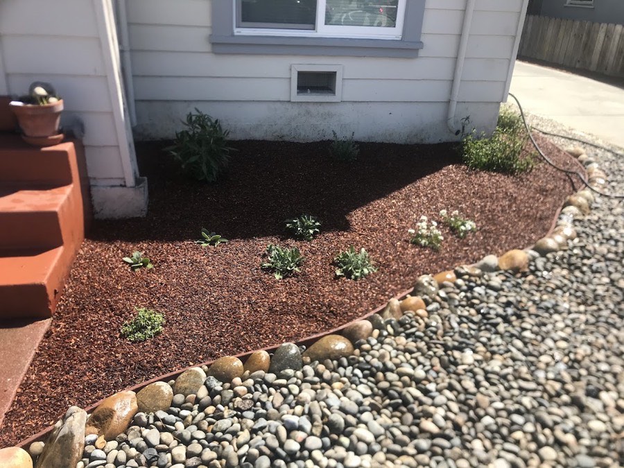 Recent planting bed refresh — new plants, fresh mulch and a river-rock border.